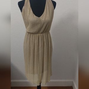 Gold Sparkling Dress for that special occasion